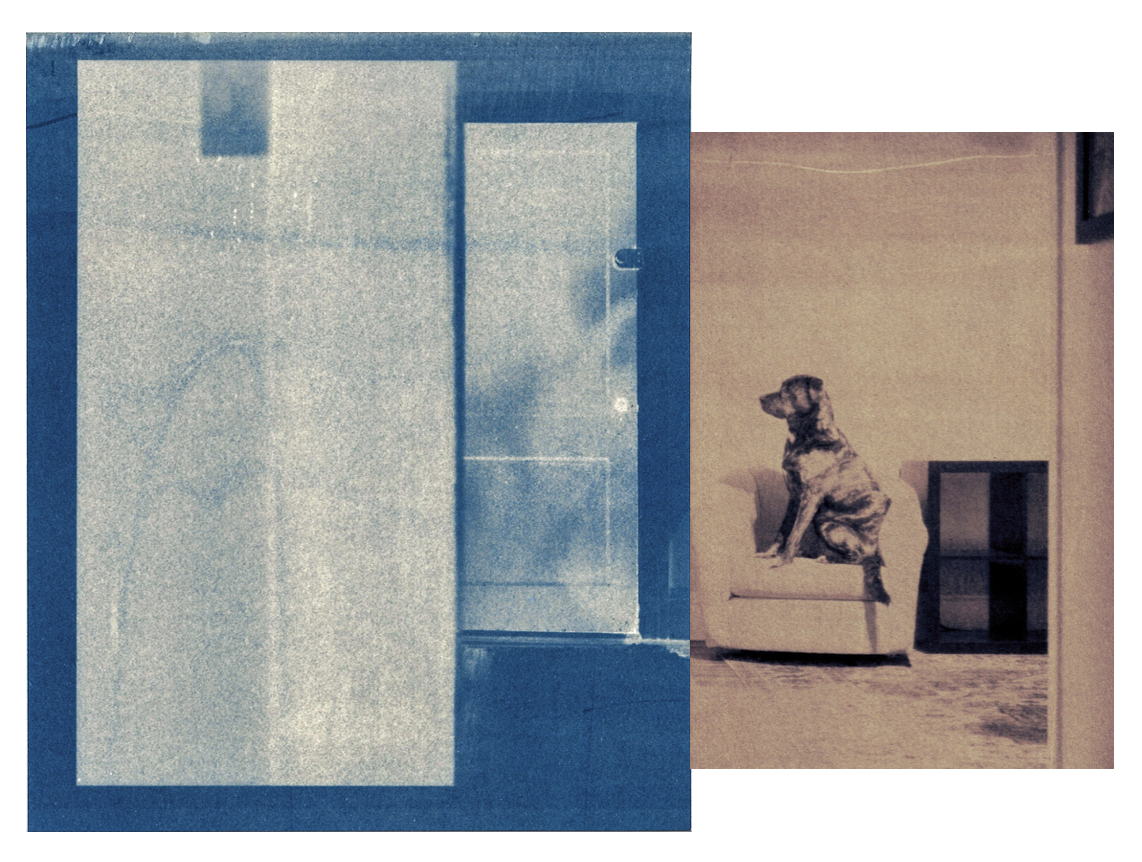 A selection of photographs - Cyanotype collage